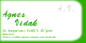 agnes vidak business card